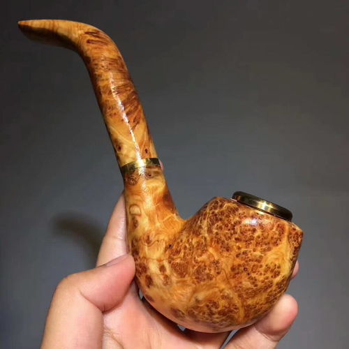 几张图带您感受崖柏的绚丽多彩
